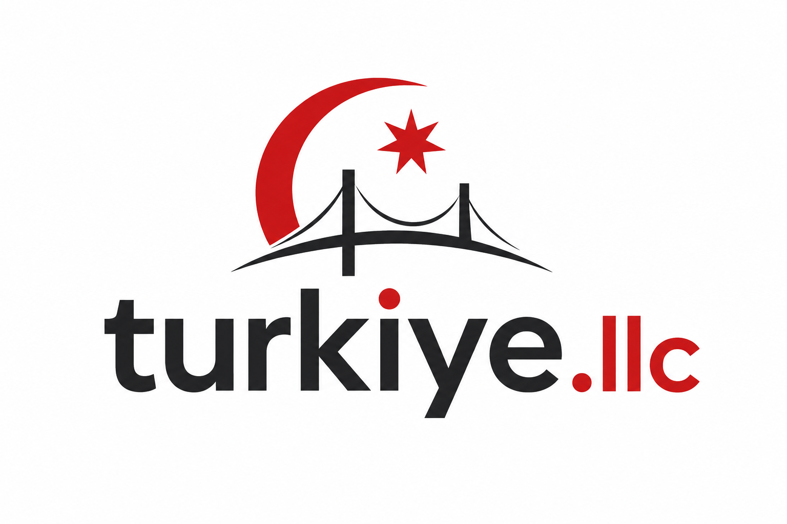Türkiye LLC logo
